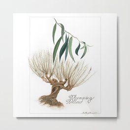Whomping Willow Botanical Art Metal Print