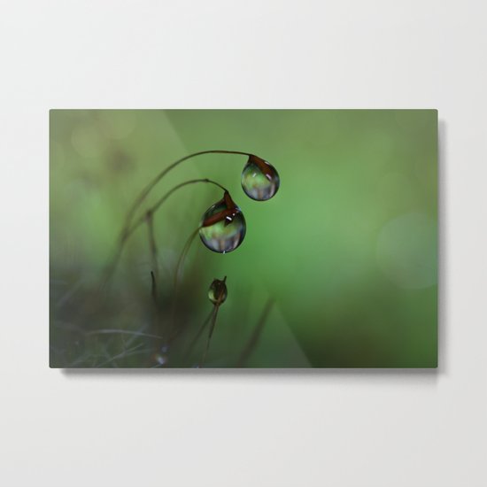 Dusk Metal Print