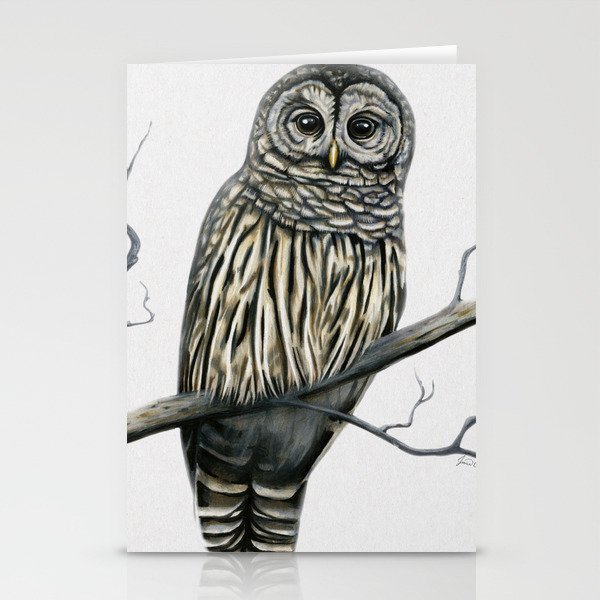 Barred Owl Stationery Cards