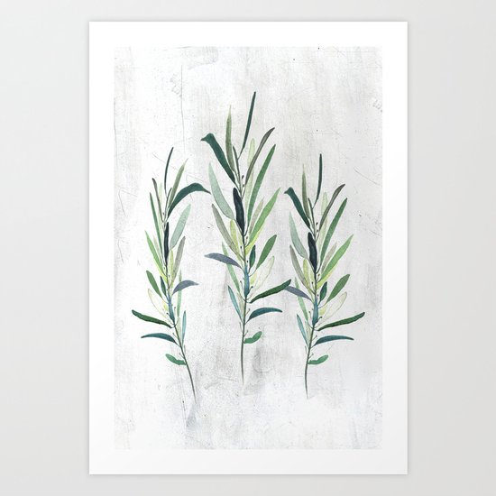 Eucalyptus Branches Art Print