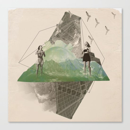 BIRDS Canvas Print
