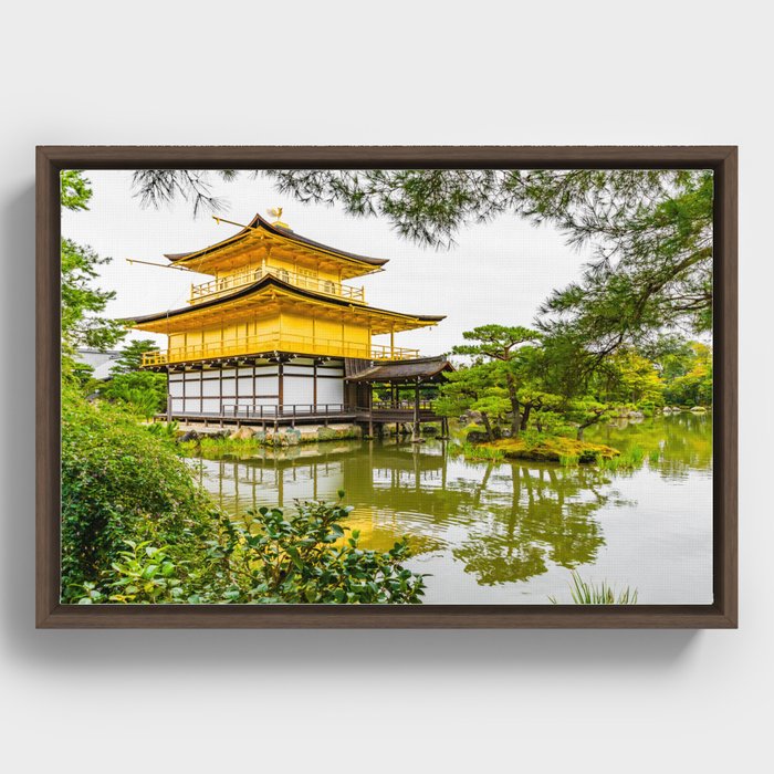 Kinkaku-ji, the golden pavilion, Kyoto Framed Canvas