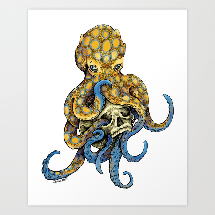 Blue Ringed Octopus Art Print by Cassie Allen
