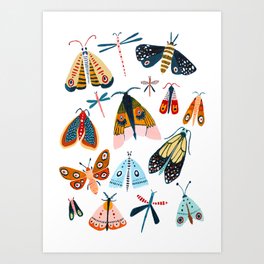 Moth Species Art Print