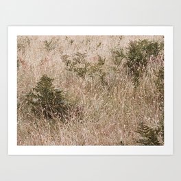 Island Meadow (35mm film) Art Print