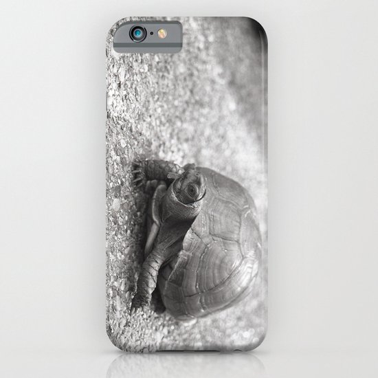 turtle iPhone & iPod Case