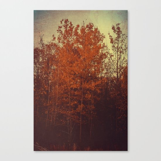 Days Undone Canvas Print