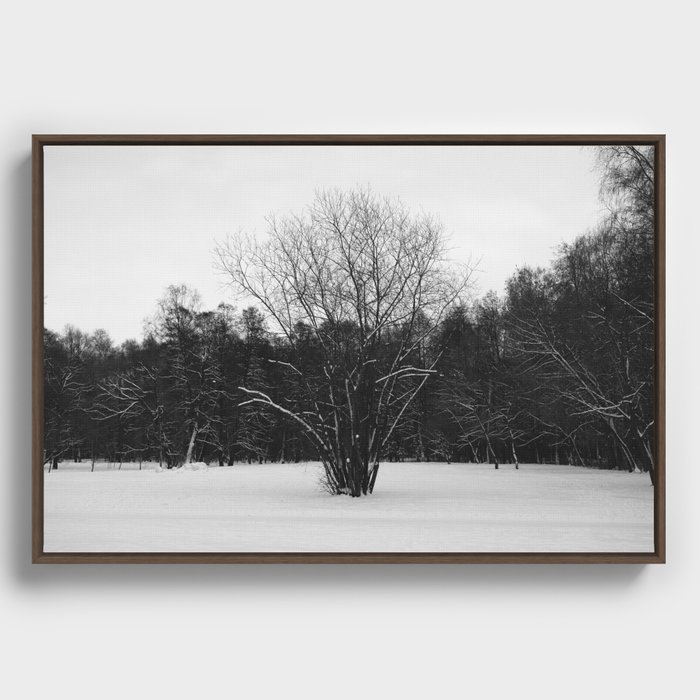 Lone tree Framed Canvas