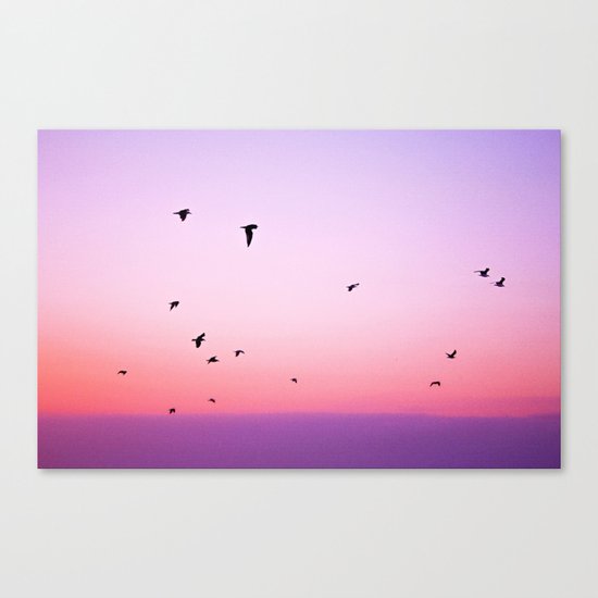 birds in the sky rose Canvas Print