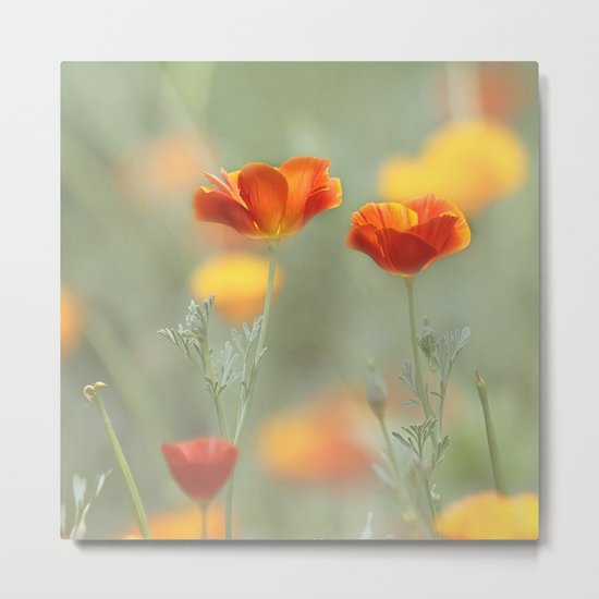 Vibrant Orange Metal Print