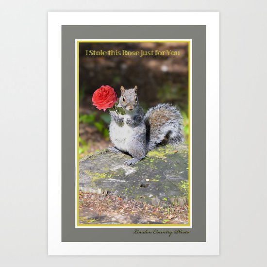 I Stole this Rose just for You Art Print