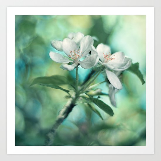 Blossom Art Print