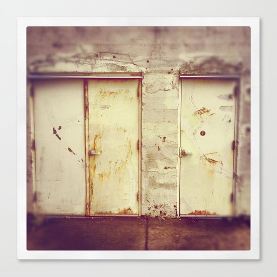 doors Canvas Print