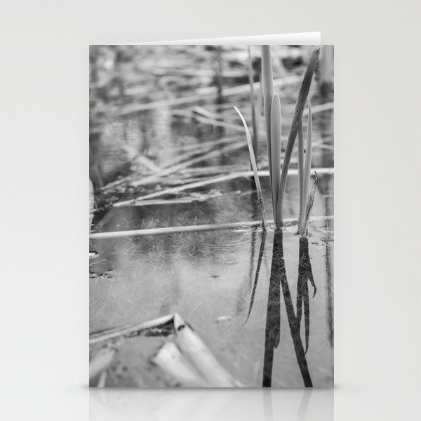 Reeds,reflection and release Stationery Cards