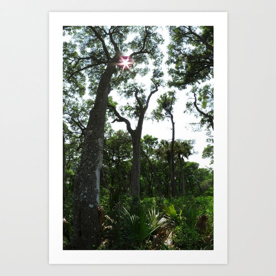 Vertical Panorama Art Print