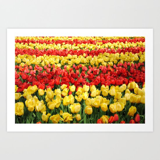 Red and Gold Art Print