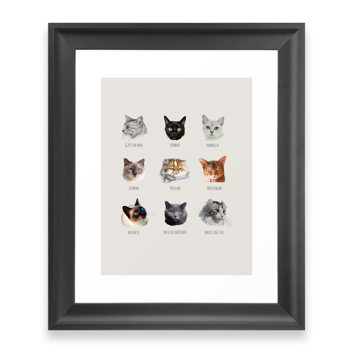 Snouts Of Cats Framed Art Print by naturespace