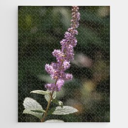 Purple wildflower in Dogtown Jigsaw Puzzle