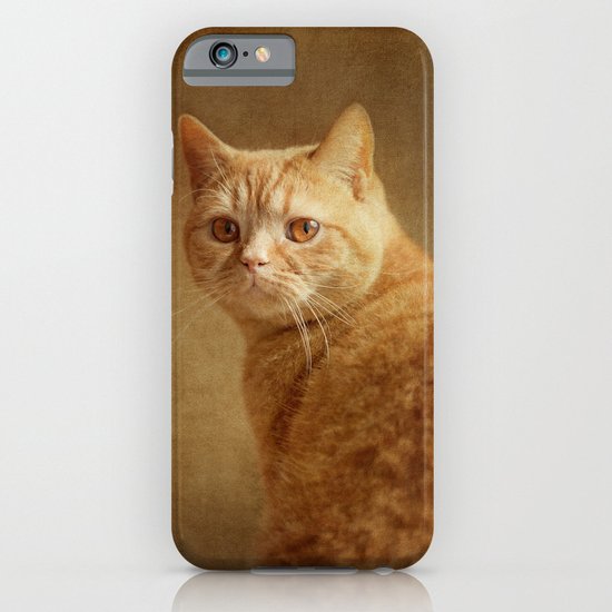 Cat iPhone & iPod Case