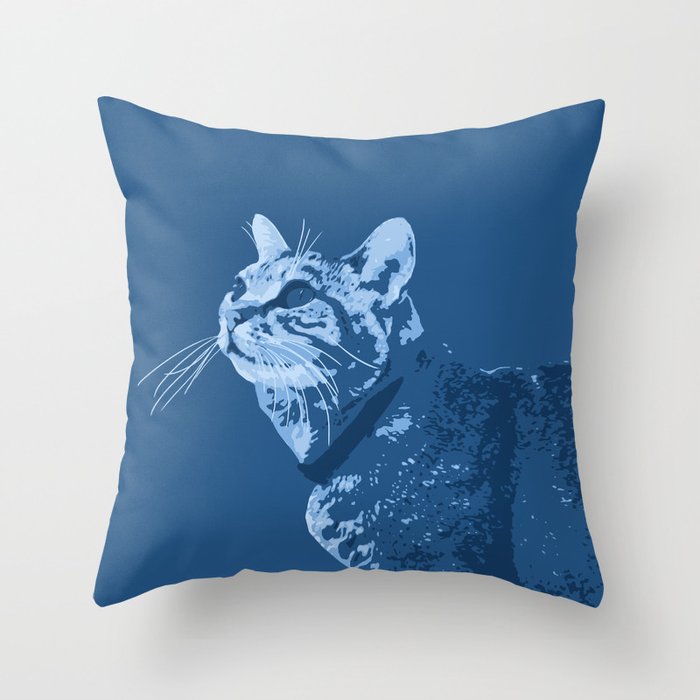 tabby pillow mini