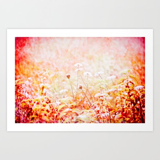 Daucus Carota Art Print