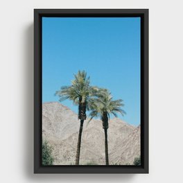 Palm Trees in Indio Framed Canvas