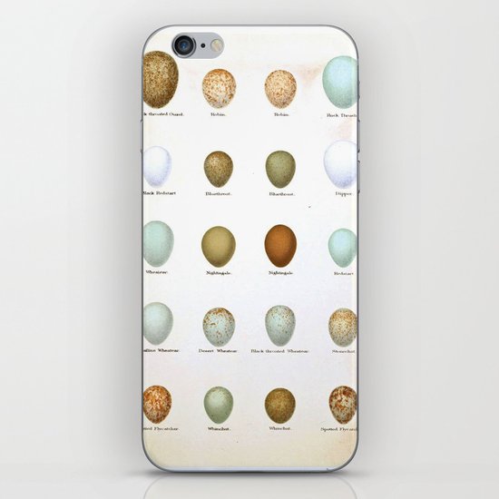 Vintage Bird Eggs iPhone & iPod Skin