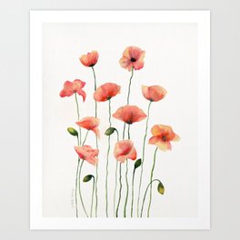 Poppies Watercolor White Background  Art Print