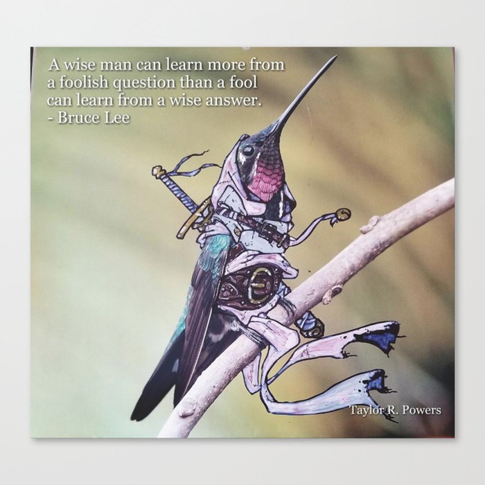 Birds In Armor Canvas Print