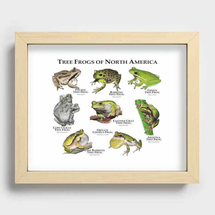 Recessed Framed Print