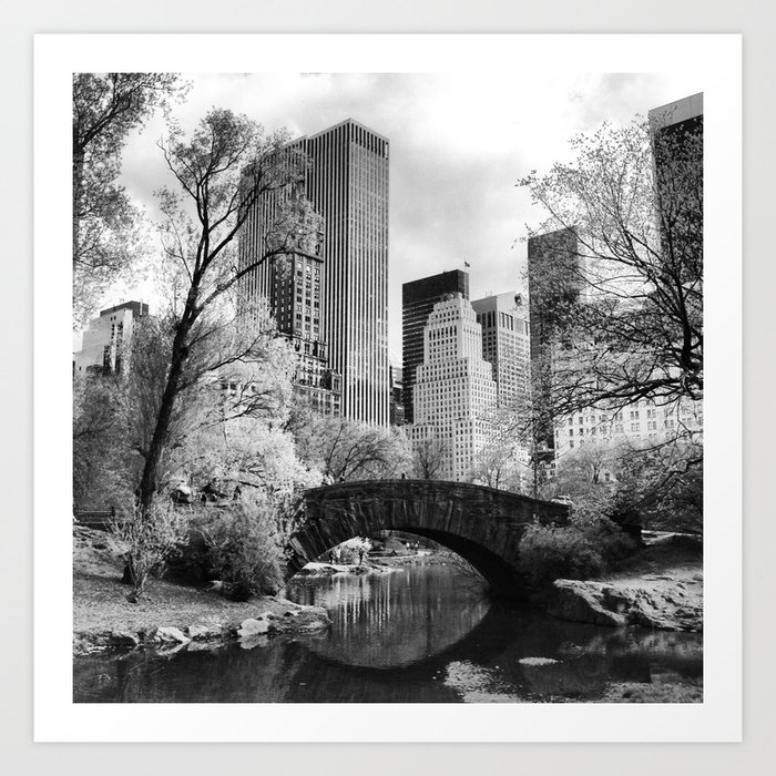 Central Park Bridge. Art Print