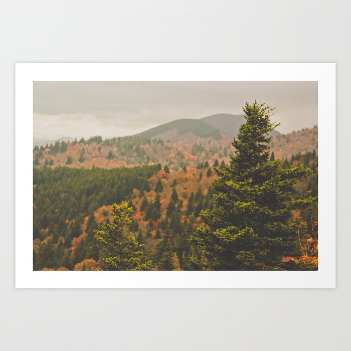 Evergreen Fall (Asheville, North Carolina, USA) Art Print