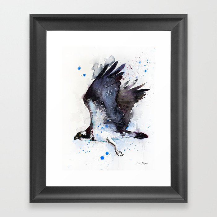 Osprey Framed Art Print