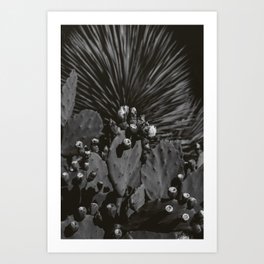 Monochrome Cactus Art Print