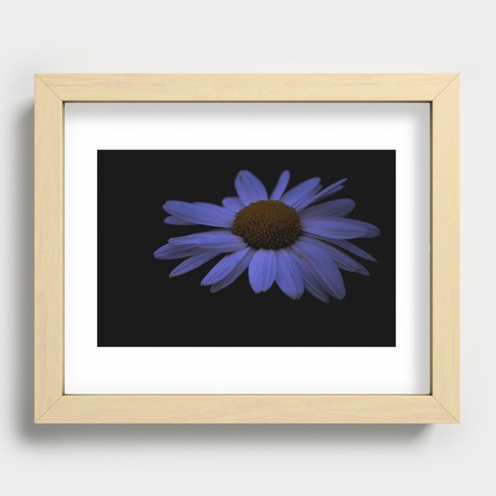 Flower Portrait Recessed Framed Print
