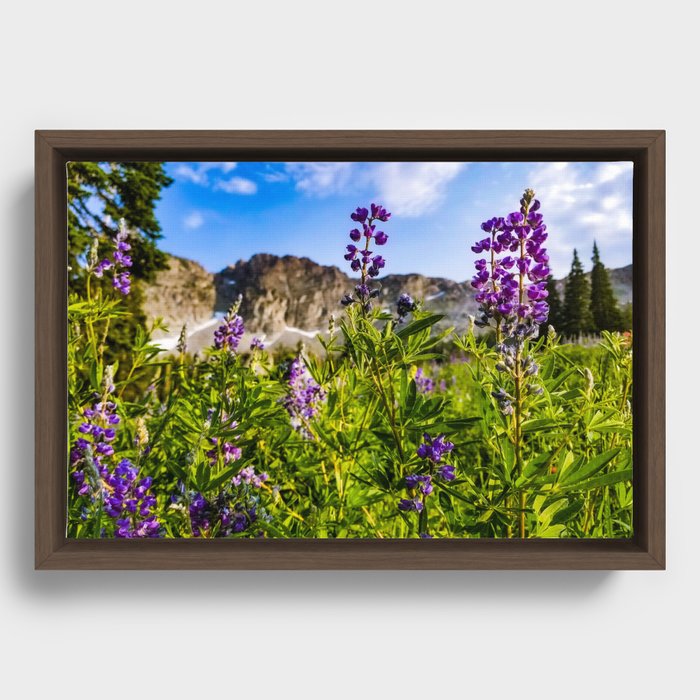 Devil's Castle behind the Flowers Framed Canvas