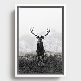 Horns Solo - Realistic Deer Drawing Framed Canvas