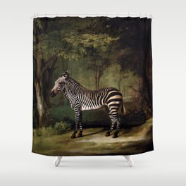 George Stubbs - Zebra Shower Curtain
