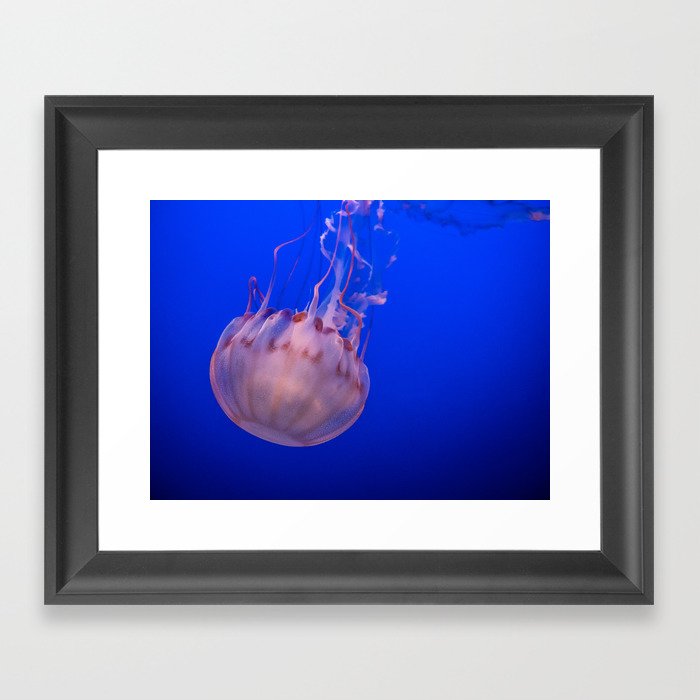 Jellyfish in the Open Sea Framed Art Print
