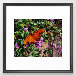 Vibrant Butterfly Framed Art Print