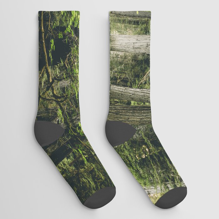 Forest Meditation - Redwood National Park Hiking Socks