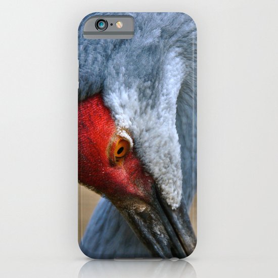 The Itching Bird iPhone & iPod Case