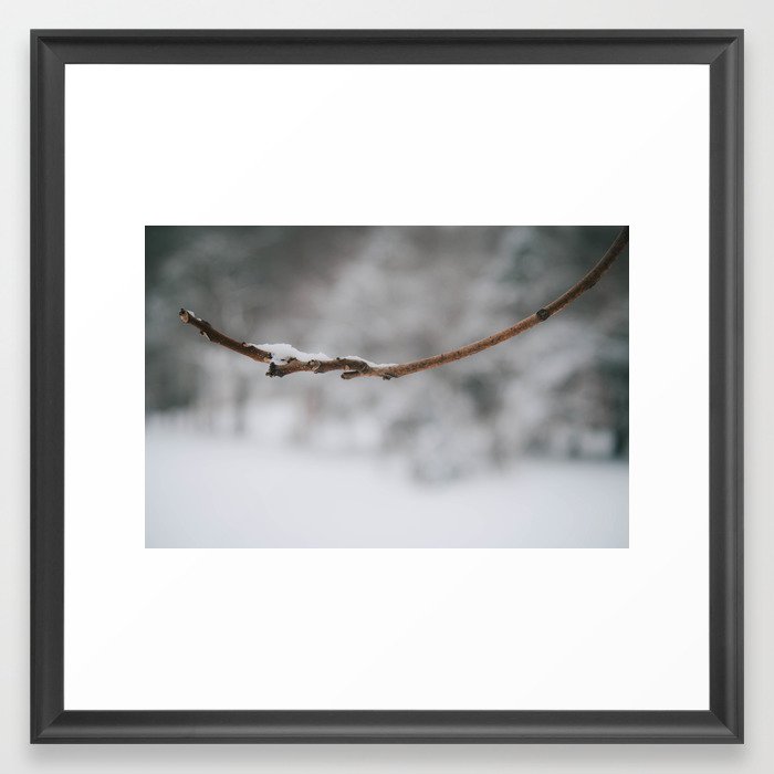Snowy Branch Framed Art Print