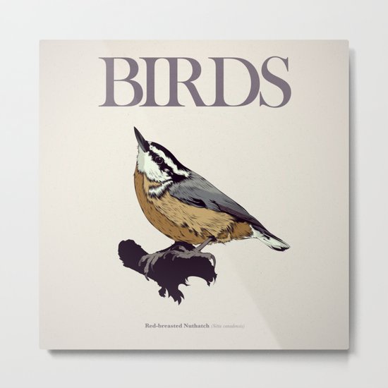 BIRDS 01 Metal Print