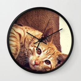 Cat roux Wall Clock