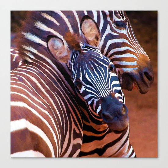 Two Zebras Playing With Each Other Canvas Print