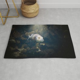 A Fish Rug | Sea, Underwater, Byjdw, Water, Nature, Fish, Animal, Color, Digital, Photo 