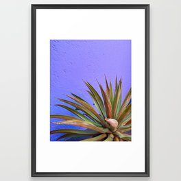 Purple Cactus Framed Art Print