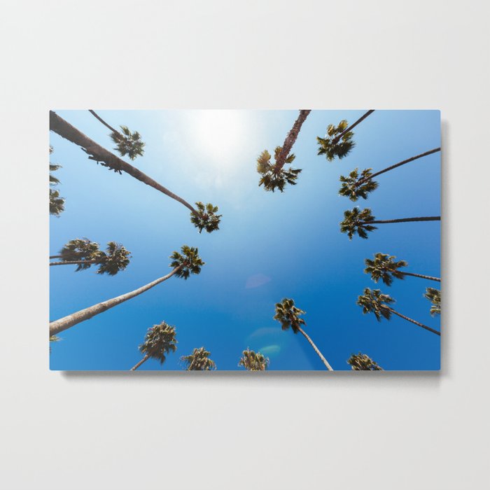 Palm Trees in Los Angeles Metal Print