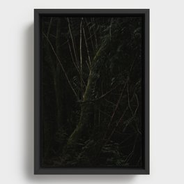 Forest 01 Framed Canvas